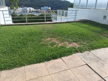 Servicio de Jardinero - Hogar