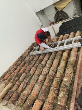 Roof Installation Professional