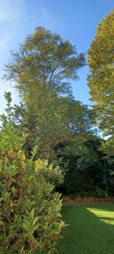 Jardinagem e Relvados