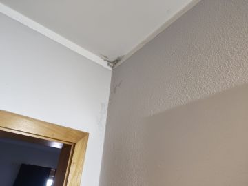 Pintura - Casa