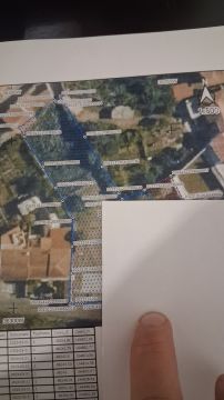 Servicios arquitectónicos