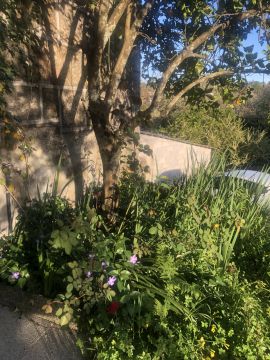 Jardinagem e Relvados