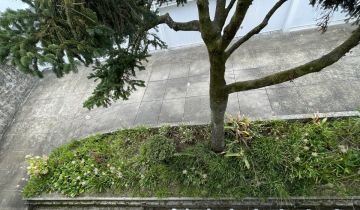 Jardinagem
