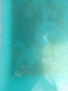 Especialista de Limpeza de Piscinas
