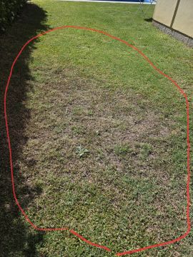 Serviço de Jardinagem