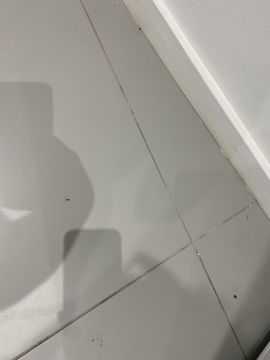 Desinfestação e Desbaratização