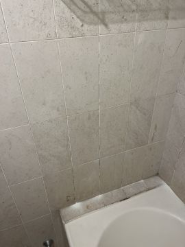 Ladrilhos e Azulejos