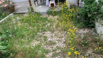 Gardening