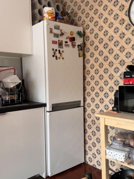 Refrigerator Repairman