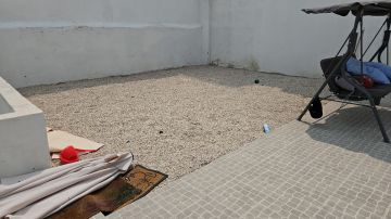 Artificial Turf Specialist