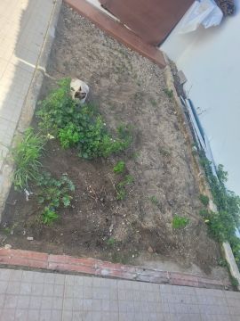Construção Civil