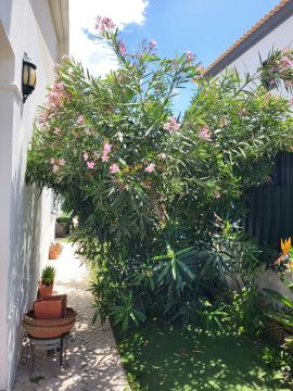 Jardinagem e Relvados - Casa