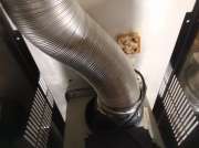 Gas Inspection and Repair Professional