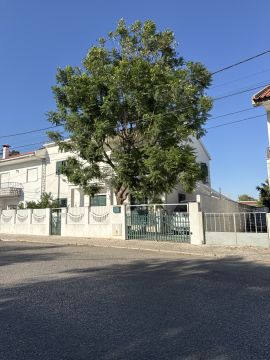 Podador de Árvores