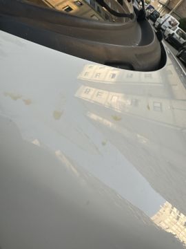 Car Painter