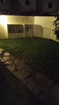 Serviço de Jardinagem