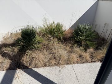 Landschaftsbau & Bewässerung