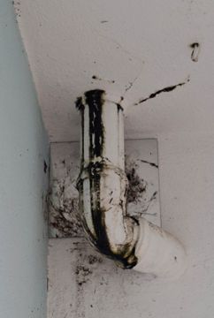 Isolamento Interior