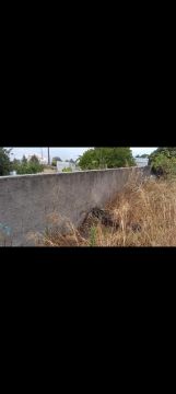 Construtor de Muros