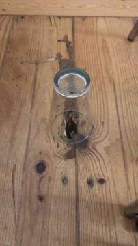 Woodwork and Carpentry