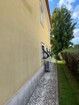 Baumpflege