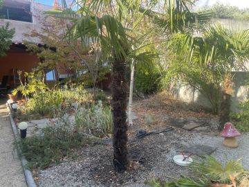Serviço de Jardinagem