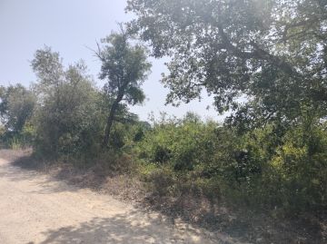 Limpeza de Terrenos