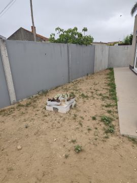 Paisajismo