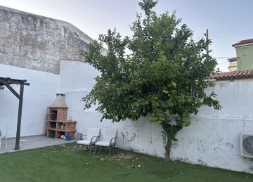 Poda e Manutenção de Árvores