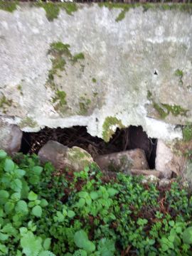 Construtor de Muros