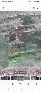 Land Surveyor