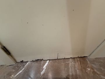 Handyman - Biscates