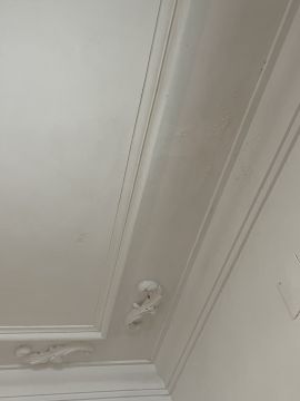 Pintura - Casa