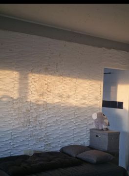 Pintor de Casas