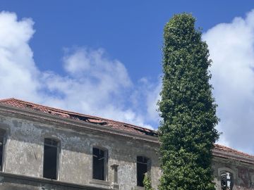 Telhados e Coberturas