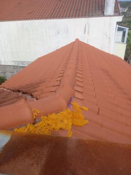 Roof Installation Professional