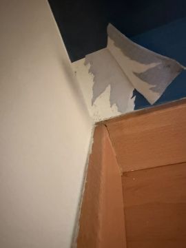 Especialista em Aplicar Papel de Parede