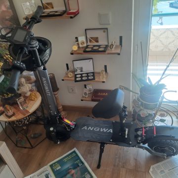 Spezialist für Scooter