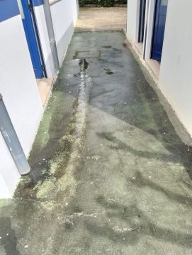Concrete/Cement/Asphalt - Home Improvements