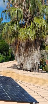 Jardinagem e Relvados