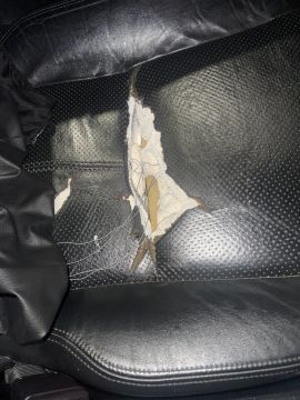 Car Upholsterer - Auto Services