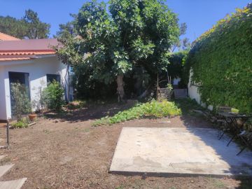 Serviço de Jardinagem - Casa