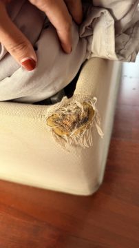 Upholstery Service