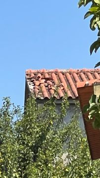 Reparação ou Manutenção de Telhado