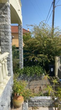 Gardening - Lawncare