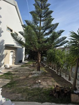 Serviço de Jardinagem