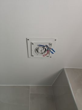 Trabajador Ocasional