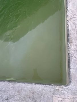 Especialista de Reparação de Piscinas