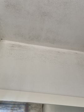 Pintura - Casa