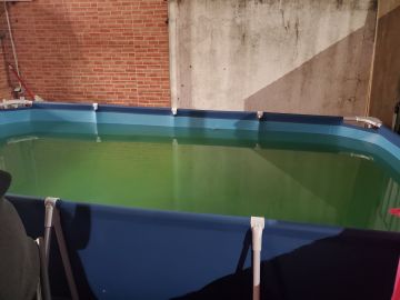 Especialista de Limpeza de Piscinas